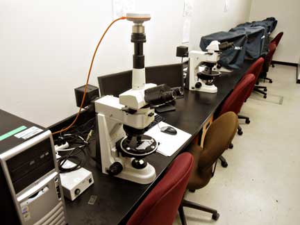 Reflected/transmitted light microscopy lab containing 10 Nikon Eclipse 50i Pol microscopes, one equipped with a Pixe-Link digital camera. Used for routine microscopy work and as an advanced teaching laboratory. Contact: Randy Corney 