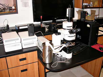 Olympus BX51 visible (brightfield/darkfield)-DIC Nomarski-UV microscope with (i) MDS600 motorized X-Y Linkam fluid inclusion microthermometry stage and (ii) TS1500 Linkam high temperature melt inclusion stage for observations in visible and ultraviolet light from -190oC to 1500oC. Used for studying fluid and melt inclusions in transparent minerals. Contact: Jacob Hanley