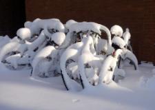 Snow covered bikes, in a bike rack, on campus