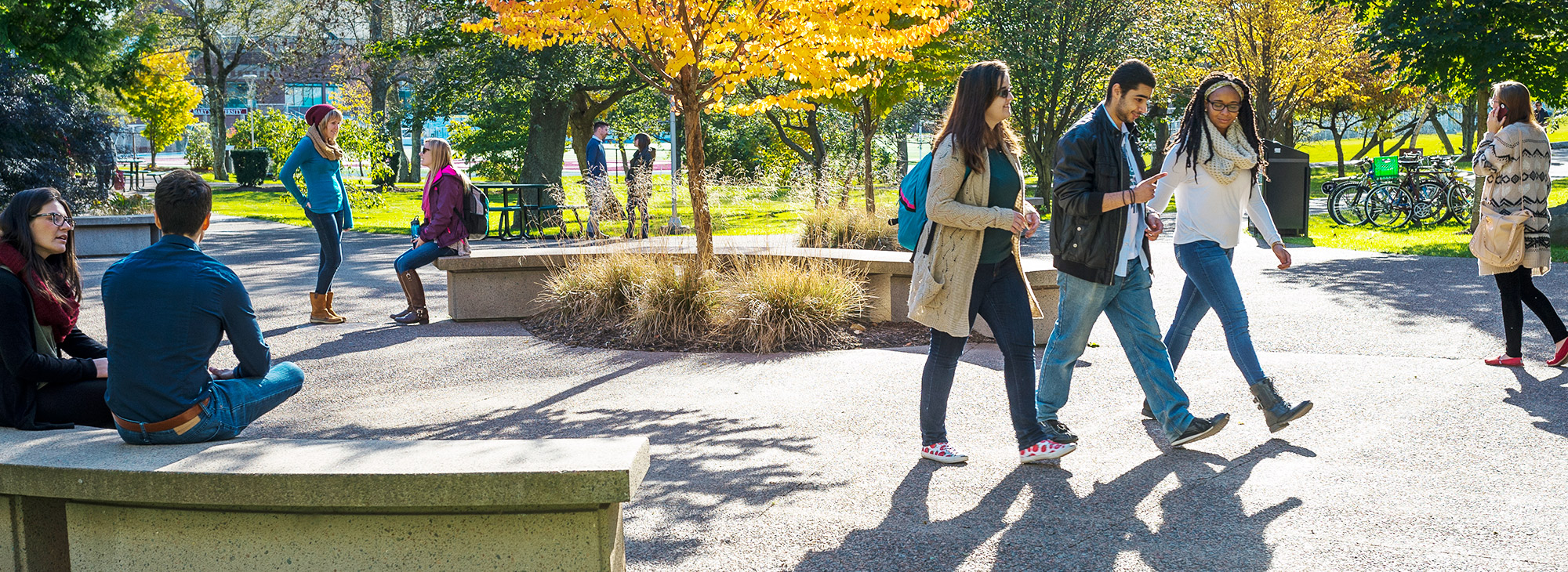 Students walking through the quad on a fall day.