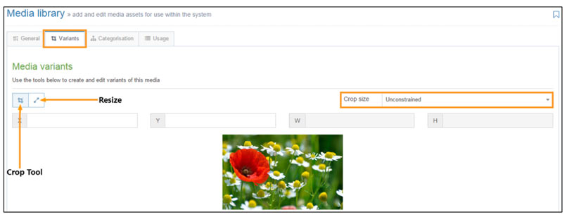 Editing images in the media library
