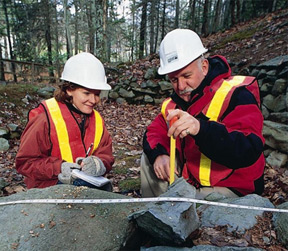 
Workers Conducting Measurements in the Forest