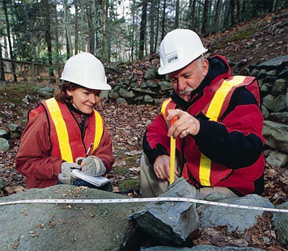 Workers Conducting Measurements in the Forest